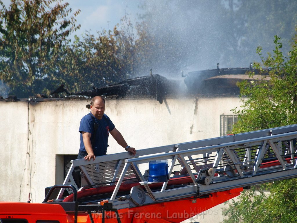 Feuer Koeln Ossendorf Butzweiler Hof neben IKEA P248.JPG